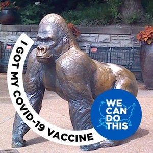 Meet your Posher, Stephen